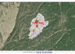 punjab land revenue faisalabad district map